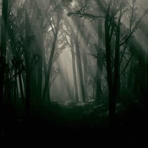 Meet your Posher, Ivan